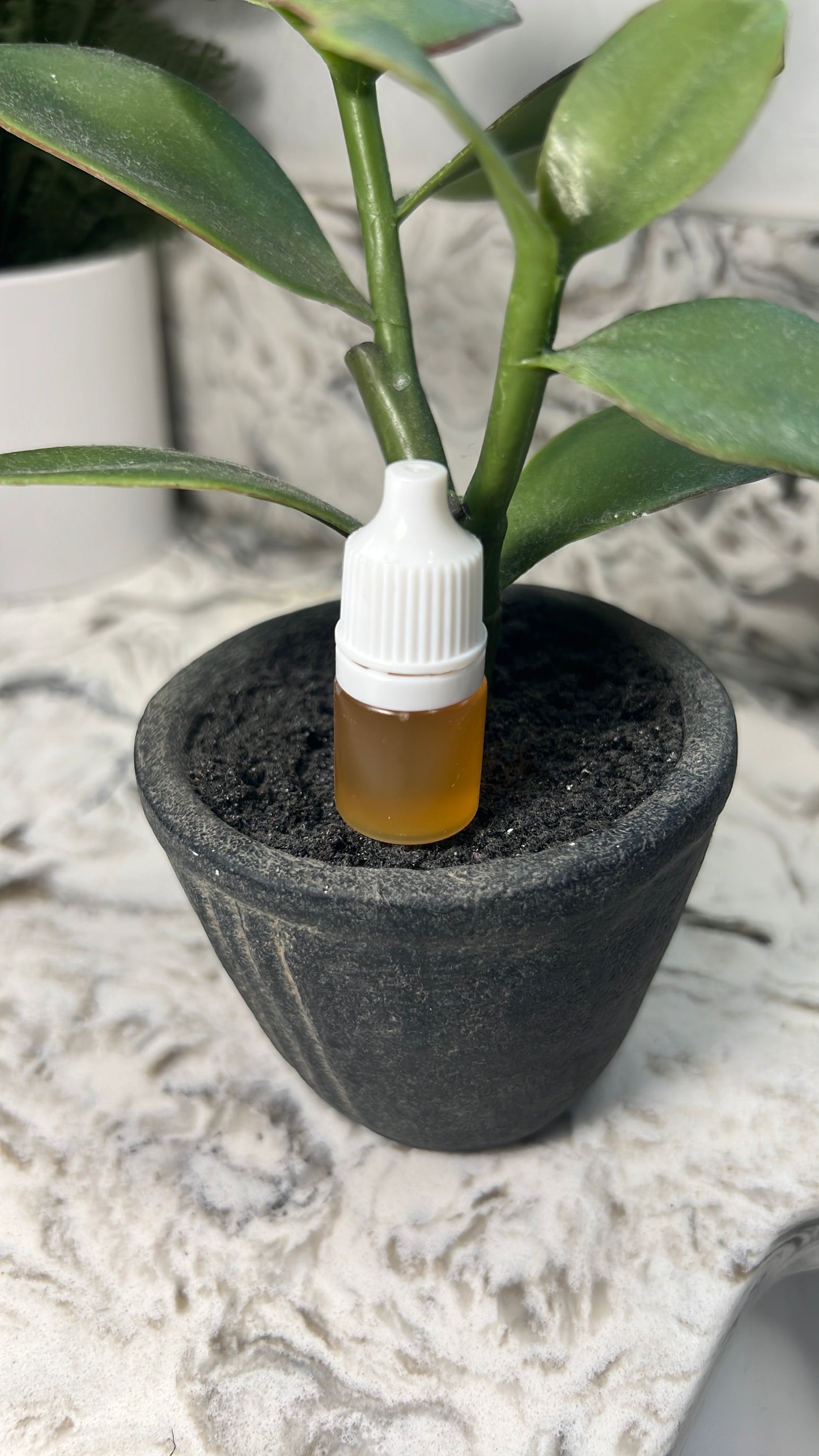 Eye Food Care Package