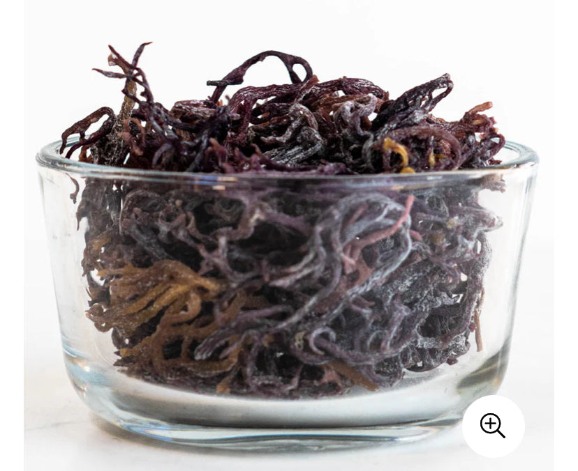 4oz Purple Jamaican Seamoss